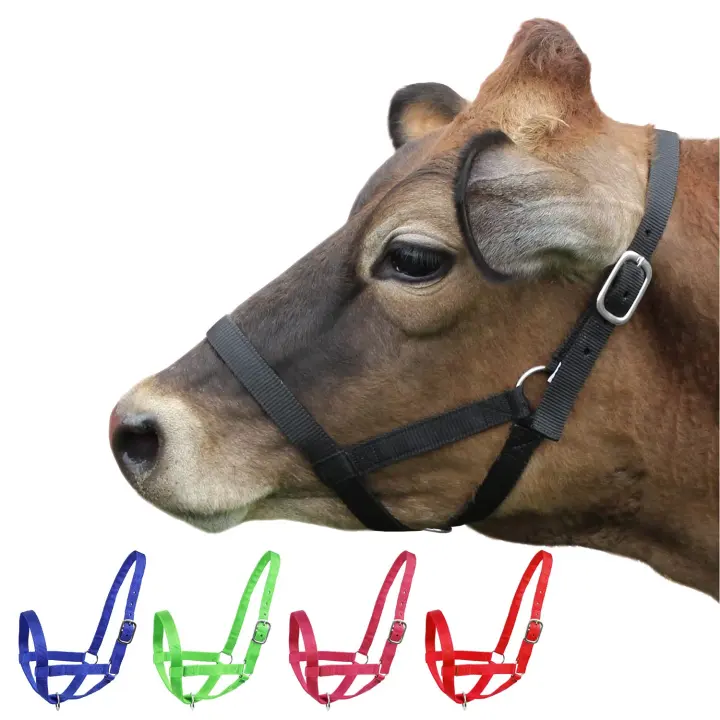 Derby Adjustable Nylon Cattle Halter — Medium, Black
