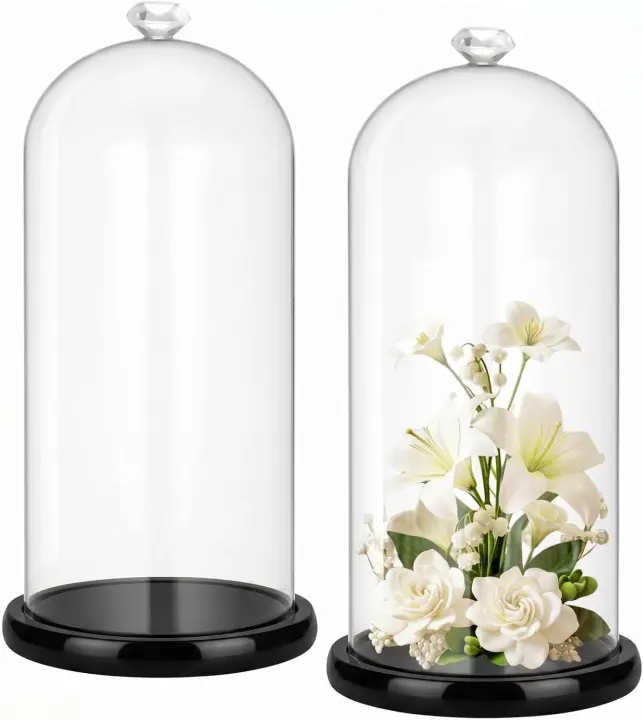 Glass Cloche Display Dome Set — Two 14.1 in Tall Bell Jars with Wood Bases