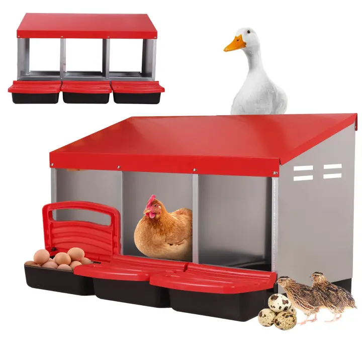 Three-Compartment Roll-Away Chicken Nesting Box with Removable Drawer